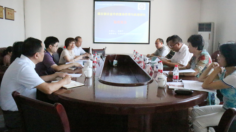 我院应用物理研究所召开省科技厅重大项目验收会