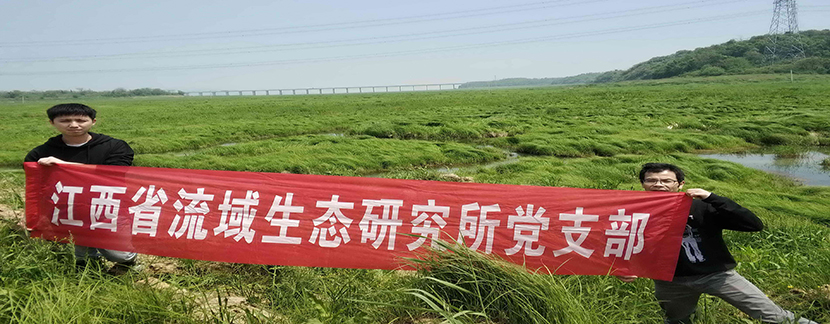 抓实党建激发科研活力