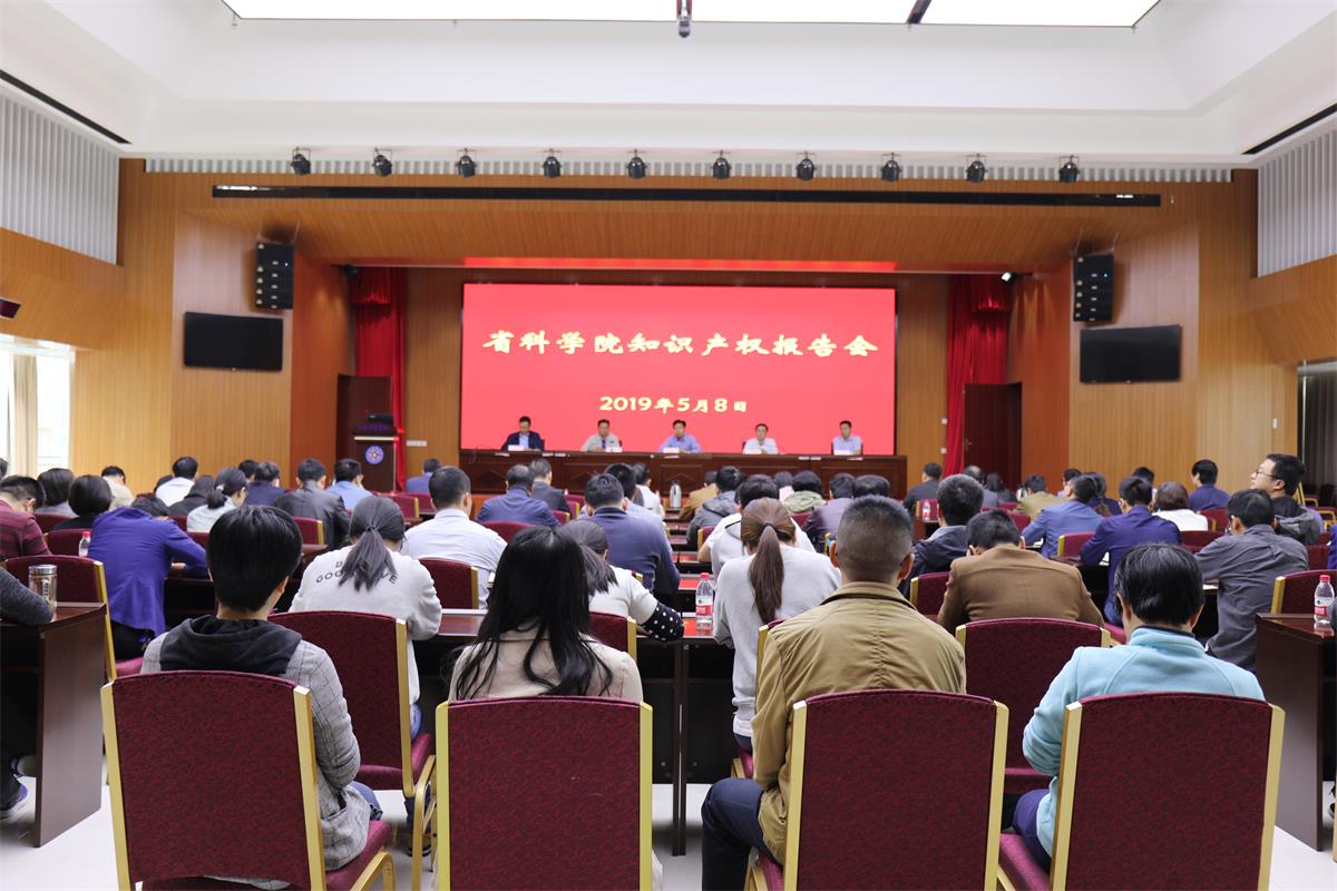 我院召开知识产权报告会