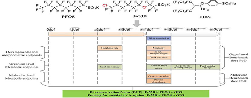 我所在Environmental Science & Technology发表研究成果