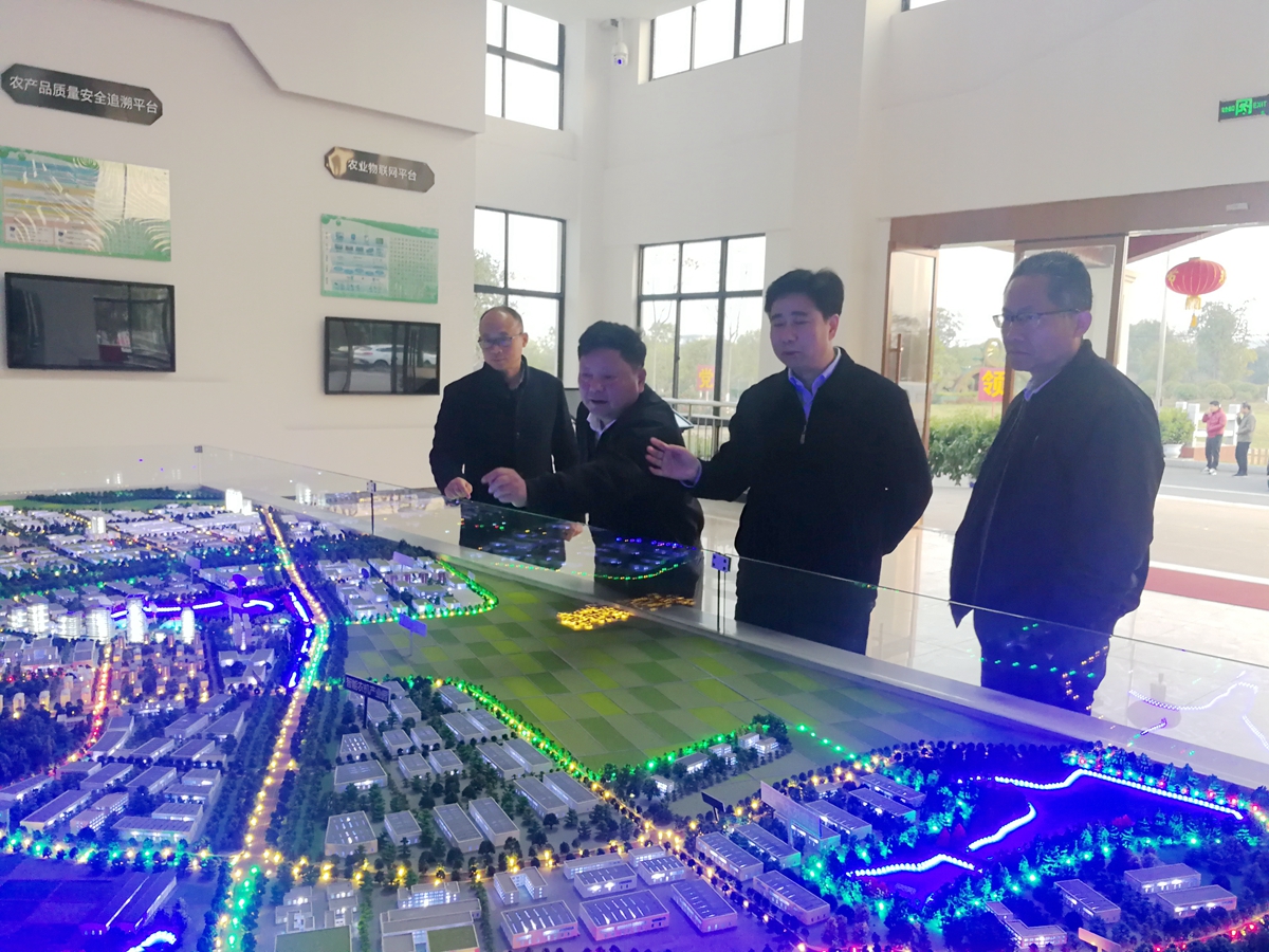 熊绍员赴井冈山农高区调研