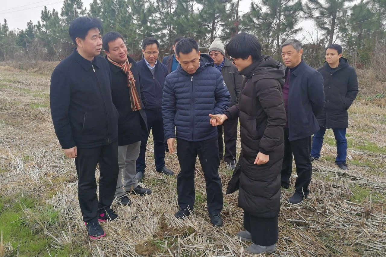 熊绍员赴南昌高新区鲤鱼洲考察调研