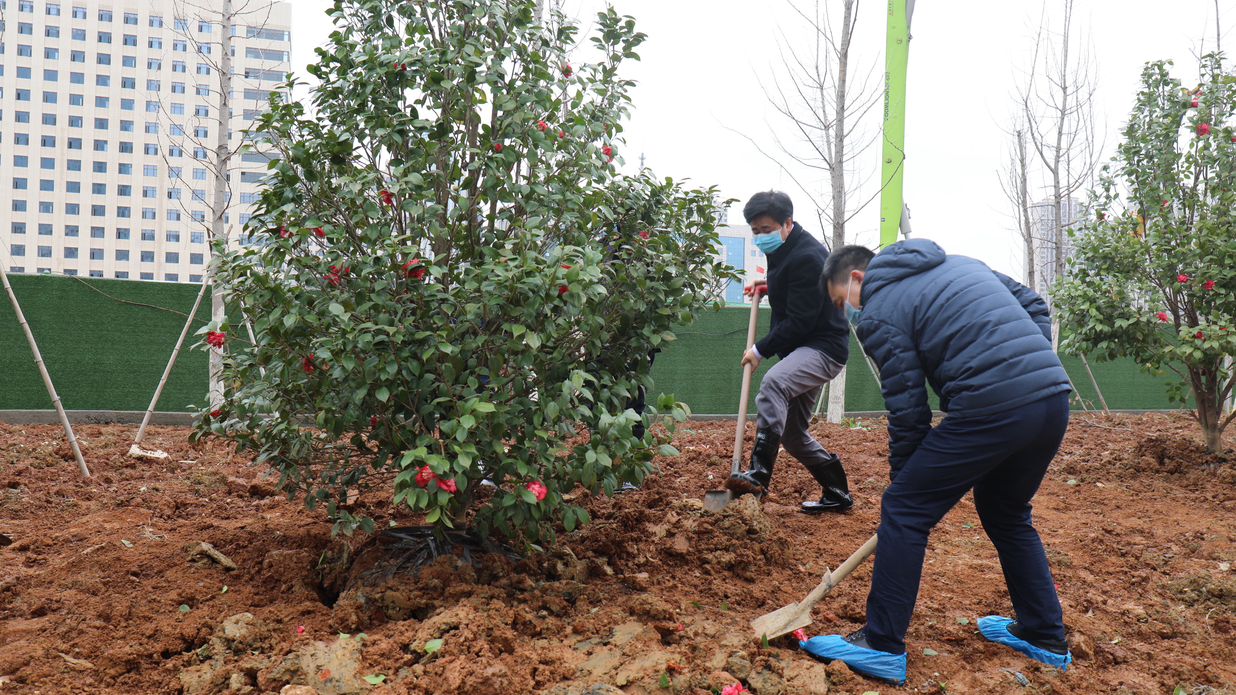 春风又绿科学院——我院干部职工踊跃参加义务植树活动