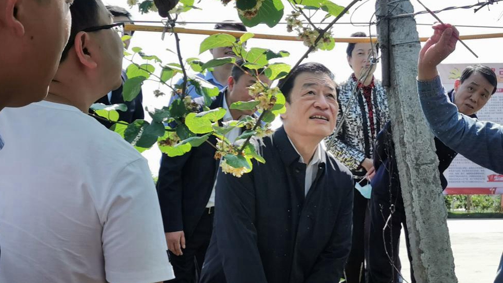 刘奇考察我院猕猴桃科技特派团产业扶贫示范基地