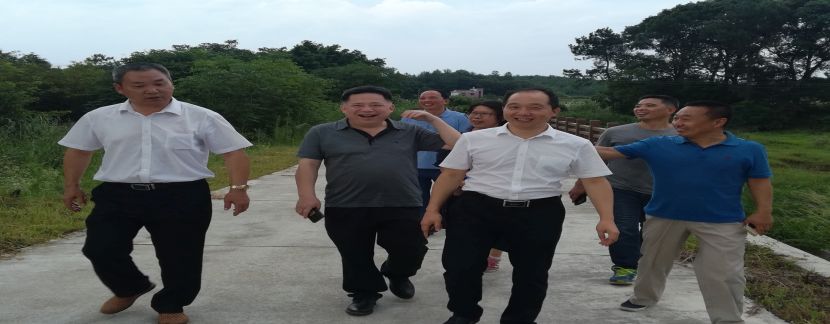 北京林业大学康向阳教授、福建省林业科学研究院郑仁华教授来我所开展学术交流