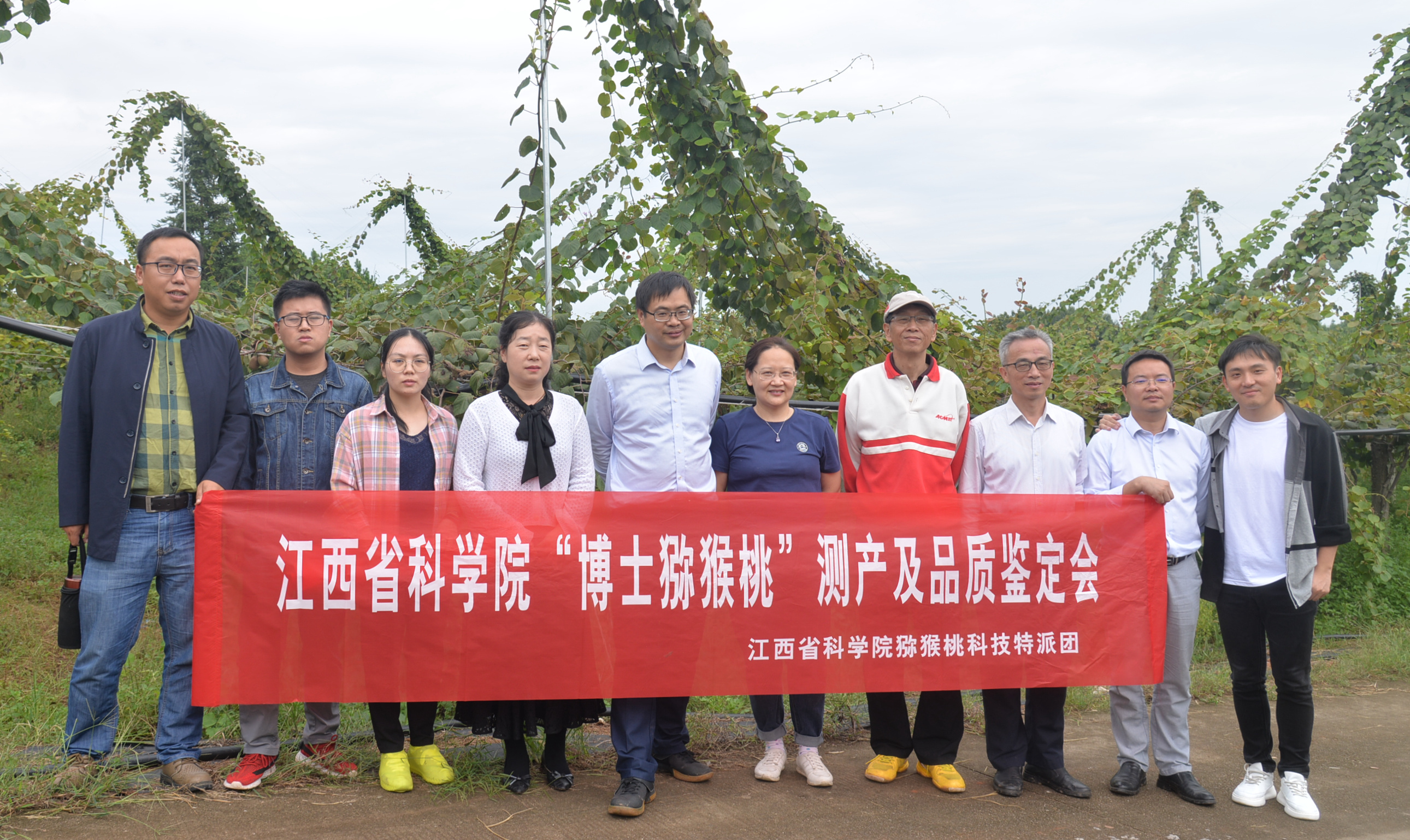 江西省科学院“博士猕猴桃”测产与品质鉴定会在奉新召开