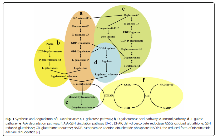 井冈山分院在国际知名期刊《BMC 基因组学》上发表高质量文章