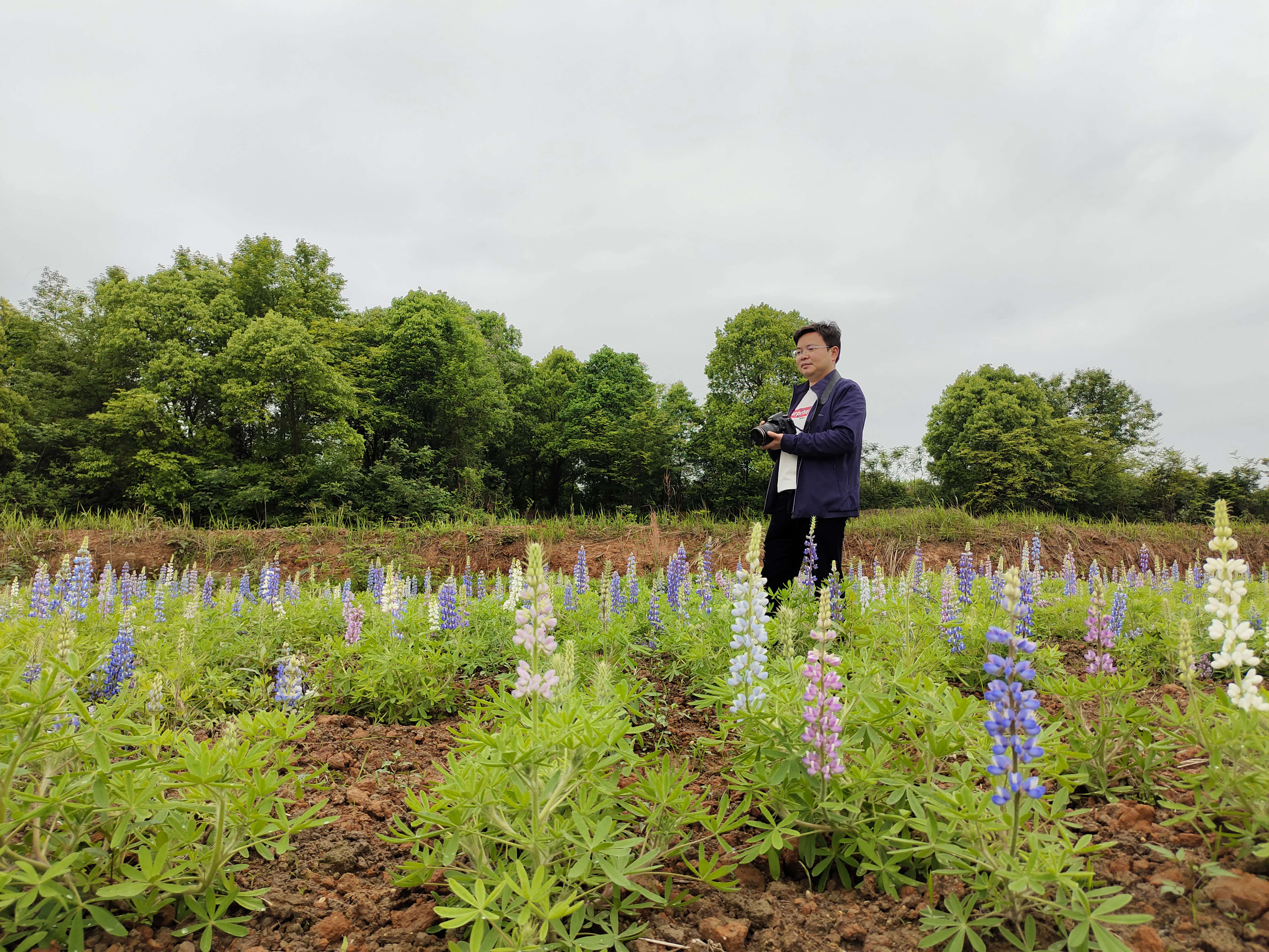 分院花卉资源圃及花海基地建设初见成效