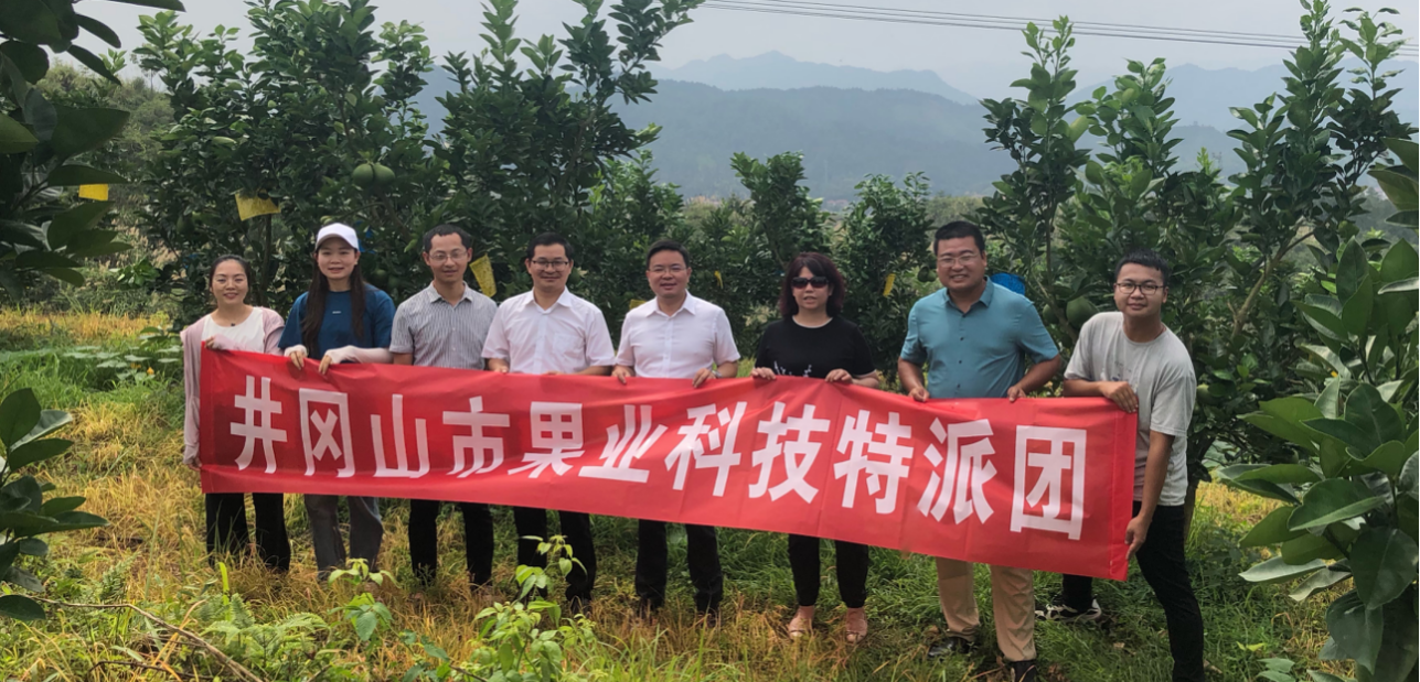 井冈山市果业团开展果业产业调研