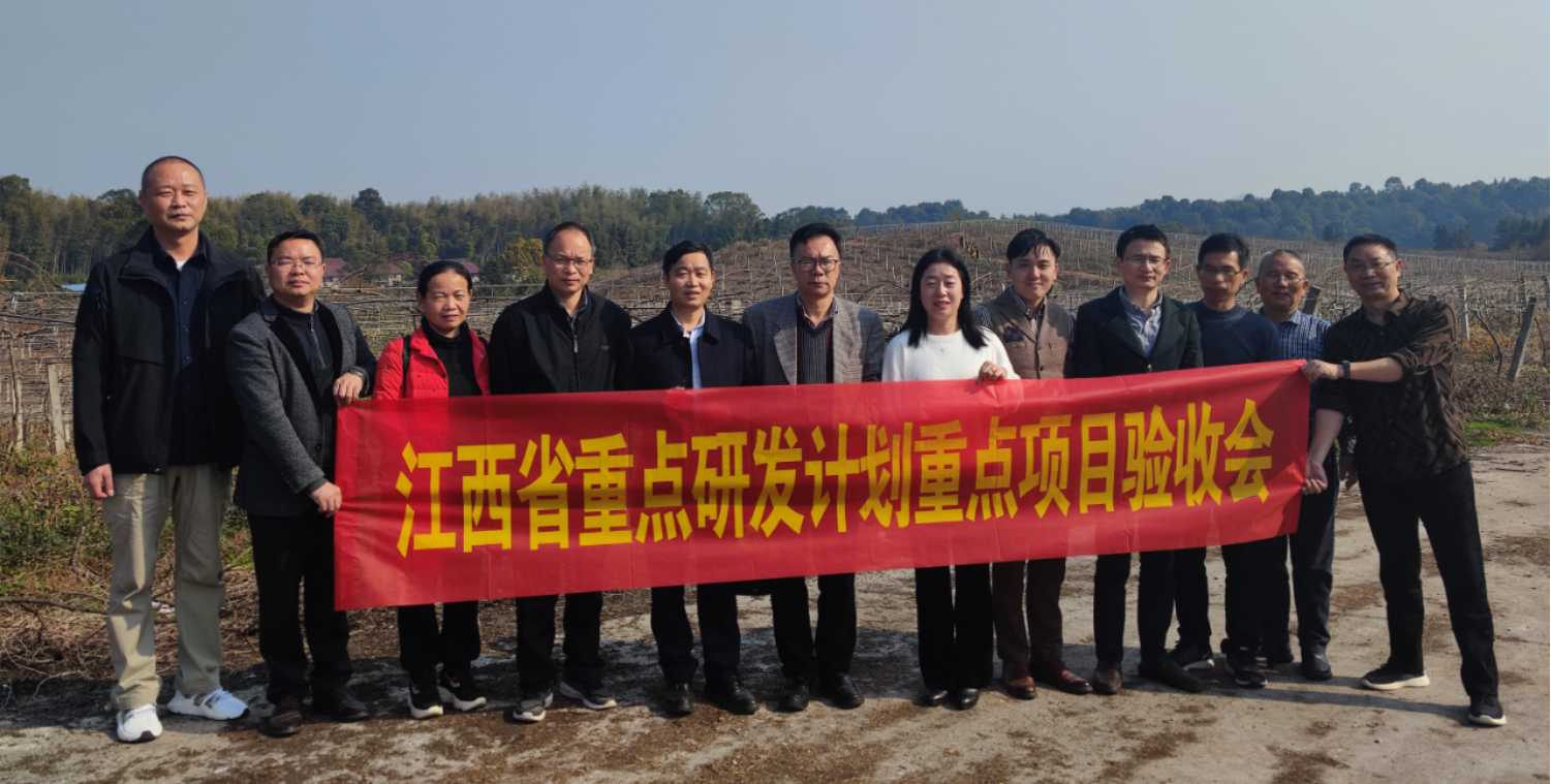省重点研发计划重点项目“江西丘陵地区猕猴桃集约化生态栽培与提质增效生产关键技术集成与示范”通过专家验收