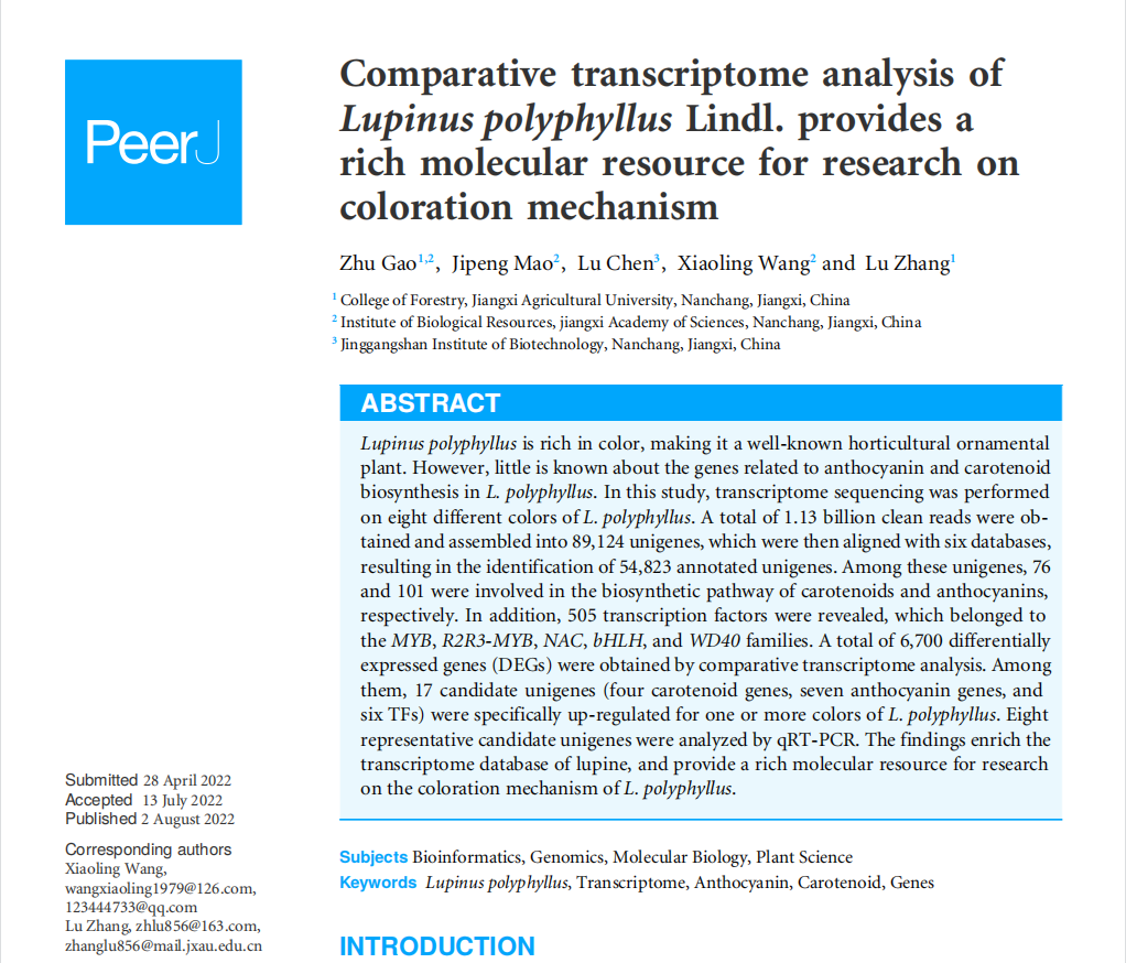 井冈山分院在多叶羽扇豆花色呈色机理研究方面取得重要进展