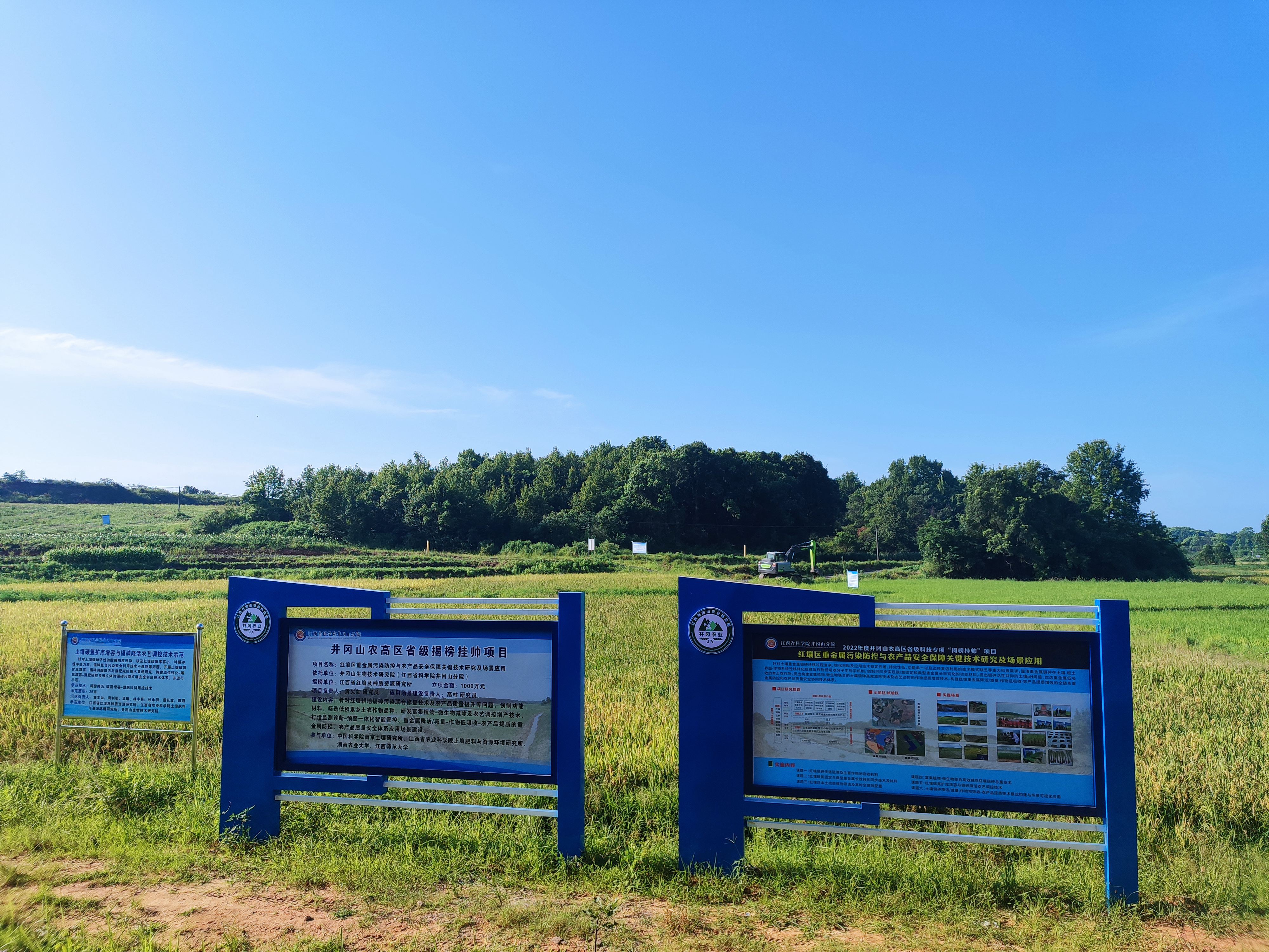 省级科技专项揭榜挂帅项目“红壤区重金属污染防控与农产品安全保障关键技术研究与场景应用”项目实施进展