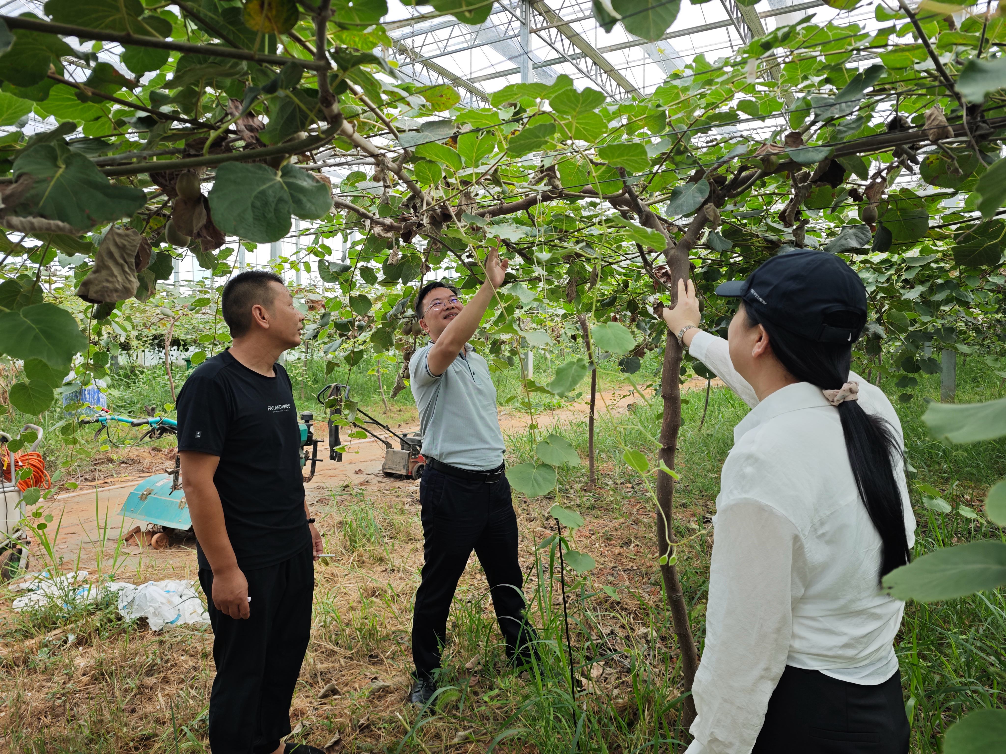 高柱带队赴溪霞现代农业示范区指导交流