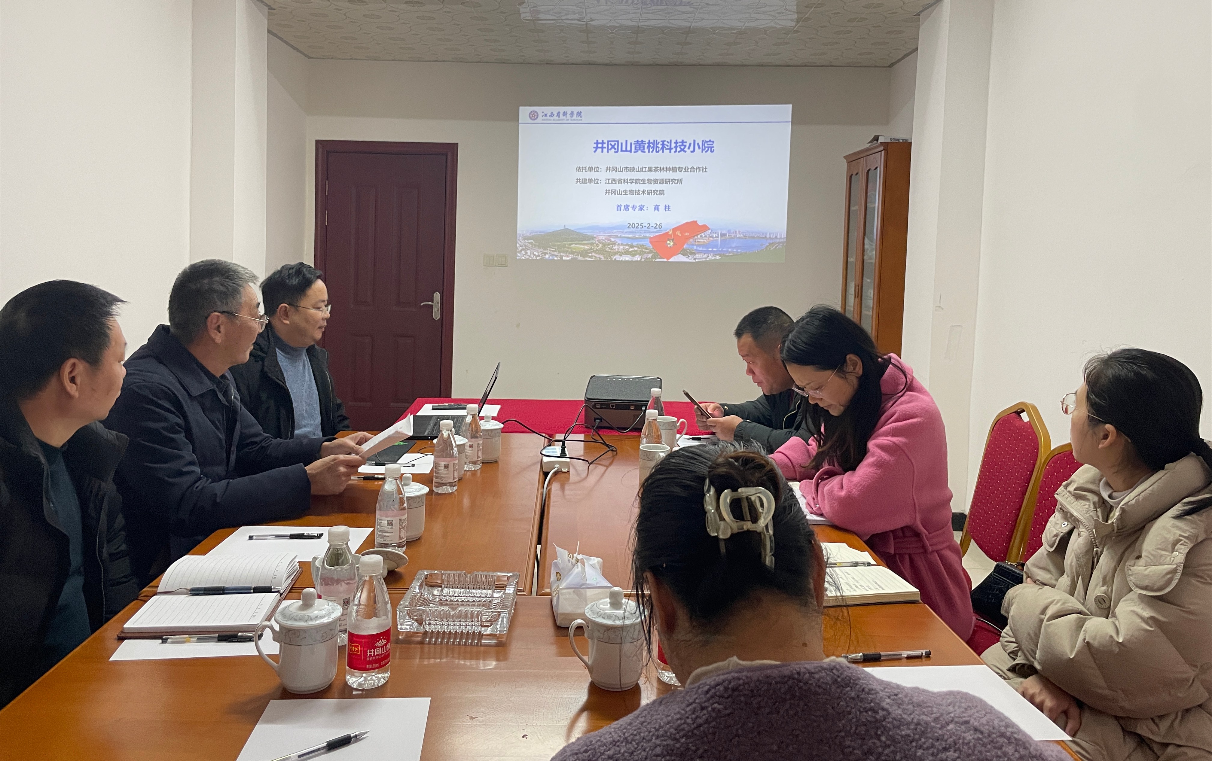 井冈山市果业团助力黄桃春季果园管理