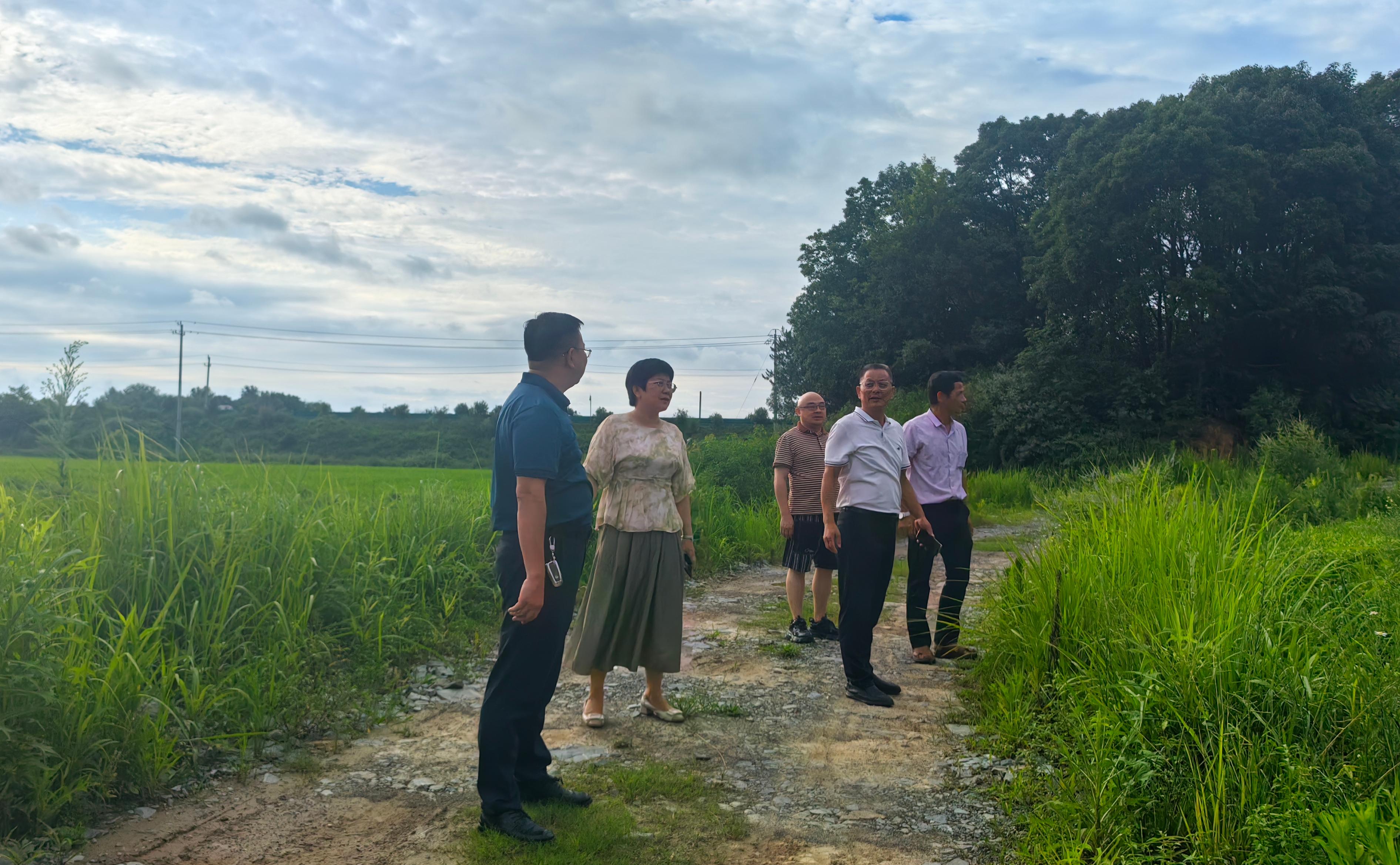 农高区科技计划专项《井冈山红壤区观赏植物引种繁育及种质资源创新》通过专家验收
