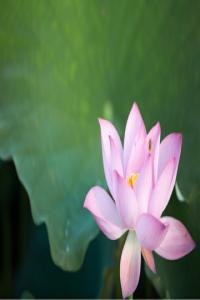 2017年“庆祝建党96周年 喜迎十九大”主题摄影比赛获奖作品