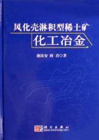 风化壳淋积型稀土矿化工冶金成果