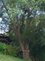 江西省科学院赴越南进行科技合作交流的报告