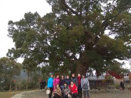 我所组织“三八妇女节”工会活动  感受新时代新农村建设风貌