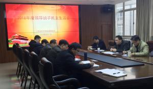 能源研究所召开2018年度民主生活会