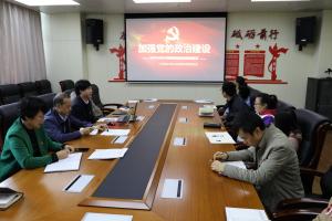 《中共中央关于加强党的政治建设的意见》专题党课