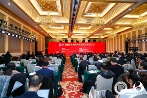 我院牵头成立中国知识产权发展联盟稀土产业专业委员会