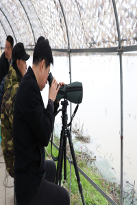 留守小学生鄱阳湖生态、法治研学活动在南昌鲤鱼洲举行