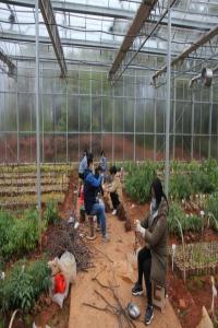 与疫情抢农时 ——生物资源研究所扎实推进科研田间试验复工复产