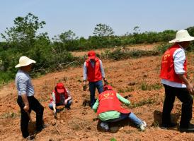 生物资源研究所党支部在株山村扶贫点开展学雷锋志愿者活动