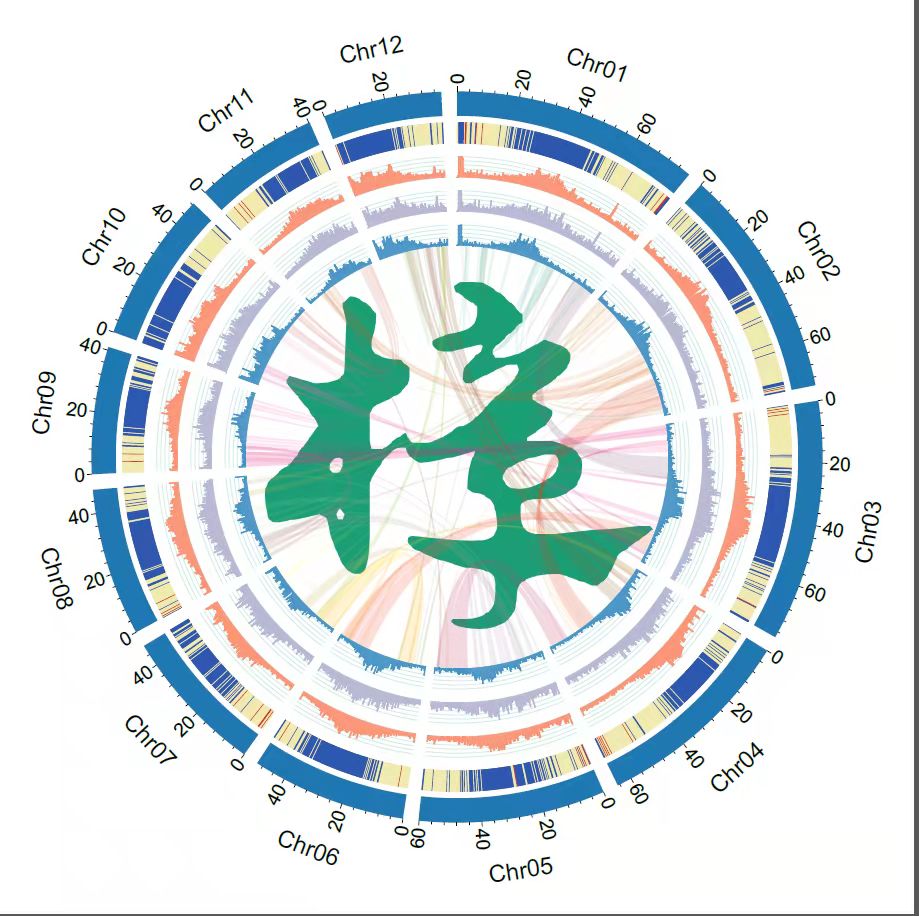 cover2.jpg