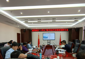 科技战略研究所参加《宜阳新区“十四五”数字经济发展规划》编制工作汇报会