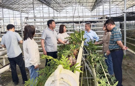 我院生资所赴广昌县开展交流与调研